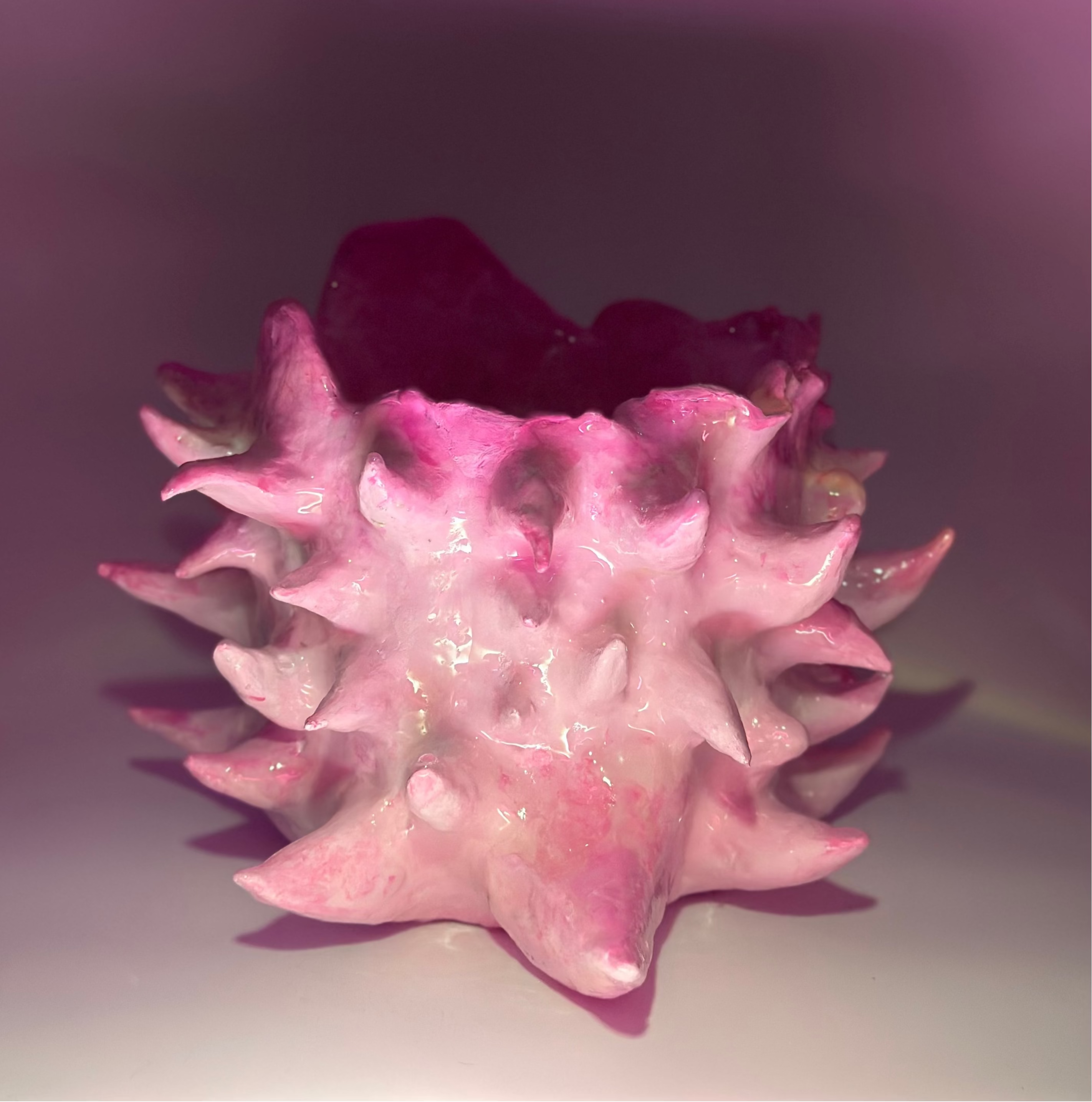 SPIKY POT PEARL PINK #1